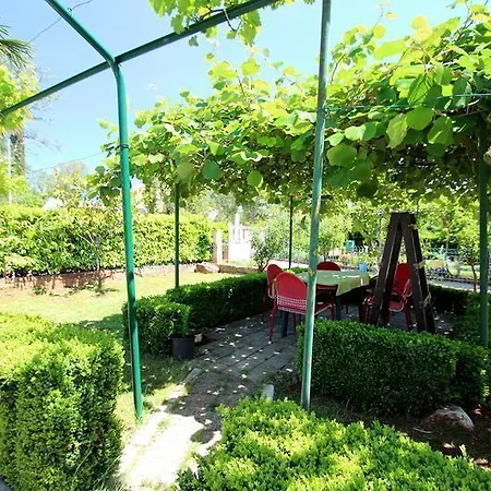 The House - 20m From The Novigrad Istria