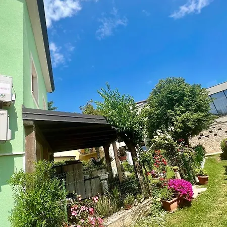 The House - 20m From The Apartment