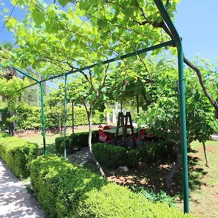 The House - 20m From The Apartment Novigrad (Istria)